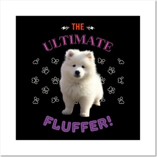 Samoyed, The Ultimate fluffer, the most adorable present to give a Samoyed Lover Posters and Art